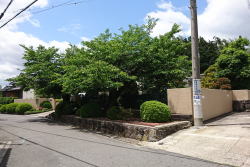 NjbNO